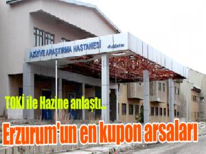 Erzurum'un en kupon arsaları