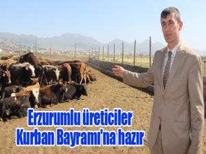 Erzurumlu üreticiler Kurban Bayramı'na hazır