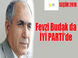 Fevzi Budak da İYİ Parti'de