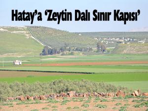 Hatay'a 'Zeytin Dalı Sınır Kapısı'