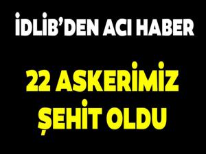  Hatay Valisi Rahmi Doğan: 22 Mehmetçiğimiz şehit oldu!