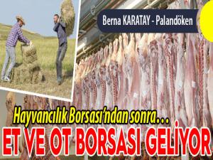 Hayvancılık Borsasından sonra Et ve ot borsası geliyor