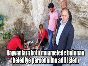 Hayvanlara kötü muamelede bulunan belediye personeline adli işlem