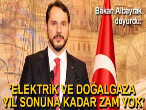 Hazine ve Maliye Bakanı Berat Albayrak: 'Normalleşmenin sağlanacağı sürece giriyoruz'