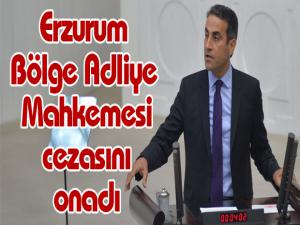 HDP Grup Başkan vekili Yıldırıma verilen 1 yıl 2 ay hapis cezası onandı