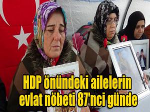 HDP önündeki ailelerin evlat nöbeti 87'nci günde