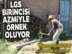 Hem hayvanlara baktı hem LGS'de birinci oldu