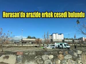 Horasan'da boş arazide erkek cesedi bulundu