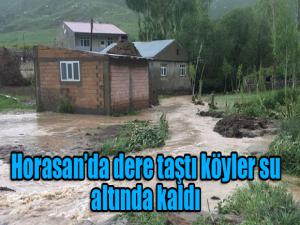 Horasanda dere taştı köyler su altında kaldı