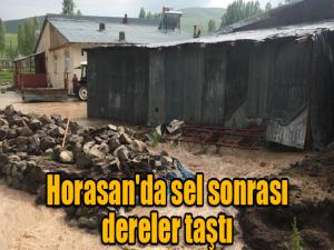 Horasan'da sel sonrası dereler taştı