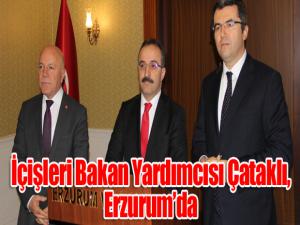 İçişleri Bakan Yardımcısı Çataklı, Erzurumda