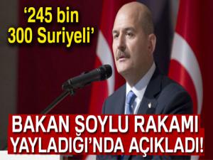 İçişleri Bakanı Soylu: '245 bin 300 Suriyeli kardeşimiz 2 yılda geri döndü'