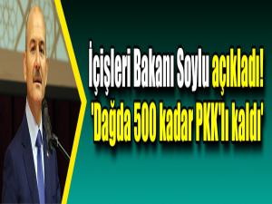 İçişleri Bakanı Soylu açıkladı! 'Dağda 500 kadar PKK'lı kaldı'