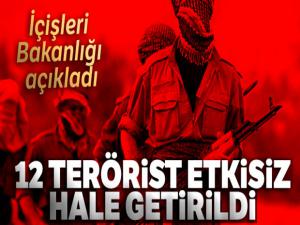 İçişleri Bakanlığı: '12 terörist etkisiz hale getirildi'