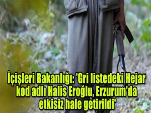 İçişleri Bakanlığı: 'Gri listedeki Hejar kod adlı Halis Eroğlu, Erzurum'da etkisiz hale getirildi'