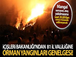 İçişleri Bakanlığı'ndan 81 il valiliğine orman yangınları konulu genelge