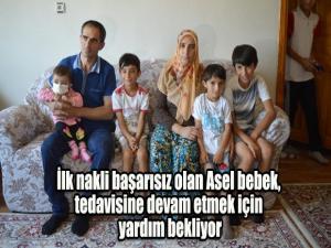 İlik nakli başarısız olan Asel bebek, tedavisine devam etmek için yardım bekliyor