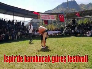 İspir'de karakucak güreş festivali