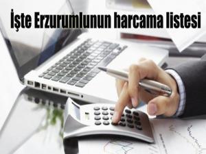 İşte Erzurumlunun harcama listesi