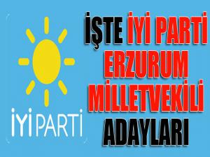 İYİ Parti Erzurum milletvekili adayları belli oldu
