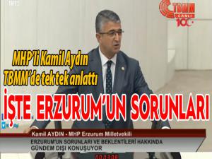 Kamil Aydın Erzurumun sorunlarını anlattı