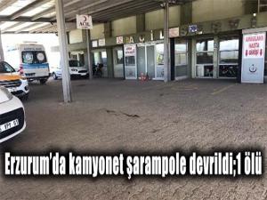 Kamyonet şarampole devrildi; 1 ölü