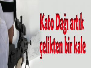 Kato artık çelikten kale