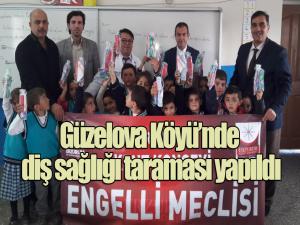 Kent Konseyi Engelliler Meclisinden Ağız ve Diş Sağlığı semineri