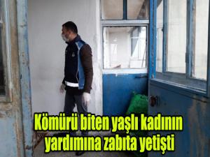 Kömürü biten yaşlı kadının yardımına zabıta yetişti