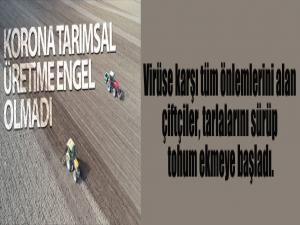 Korona tarımsal üretime engel olmadı