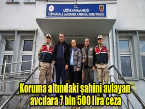 Koruma altındaki şahini avlayan avcılara 7 bin 500 lira ceza