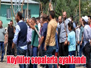 Köylüler sopalarla ayaklandı