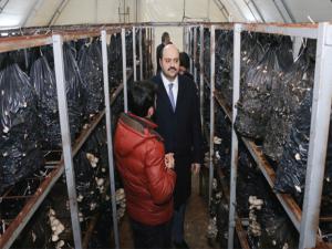 Kültür mantarı üreticilerine Başkan Orhan'dan destek