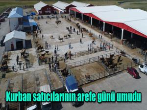 Kurban satıcılarının arefe günü umudu