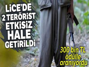 Lice'de 2 terörist etkisiz hale getirildi