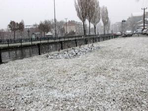 Mart karı Erzurumu esir aldı