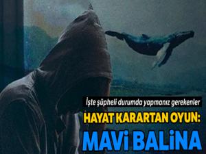 Mavi Balina'nın hedefi 9-16 yaş arasındakiler