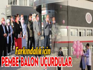 Meme kanserine dikkat çekmek için pembe balon uçurdular