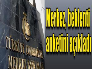 Merkez, beklenti anketini açıkladı