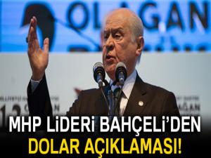 MHP Lideri Bahçeli'den dolar açıklaması