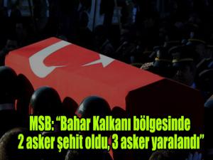 MSB: Bahar Kalkanı bölgesinde 2 asker şehit oldu, 3 asker yaralandı