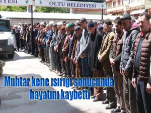 Muhtar kene ısırığı sonucu hayatını kaybetti