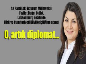 O artık diplomat