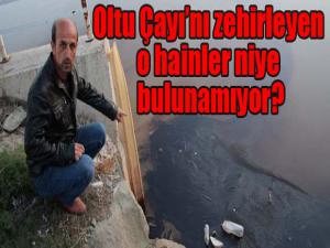 Oltu Çayını zehirleyen o hainler niye bulunamıyor?