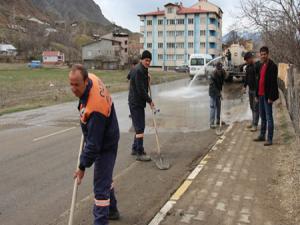 Oltuda bahar temizliği