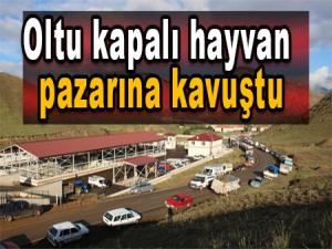 Oltu kapalı hayvan pazarına kavuştu