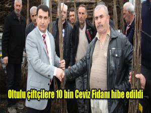 Oltulu çiftçilere 10 bin Ceviz Fidanı hibe edildi