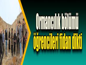 Ormancılık bölümü öğrencileri fidan dikti