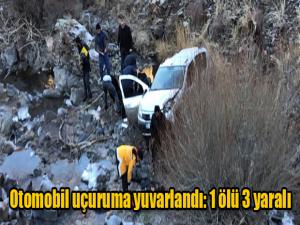 Otomobil uçuruma yuvarlandı: 1 ölü 3 yaralı