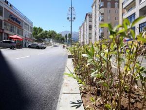 Palandöken Caddesi'ne Büyükşehir eli değdi